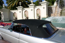 mc10t.jpg
