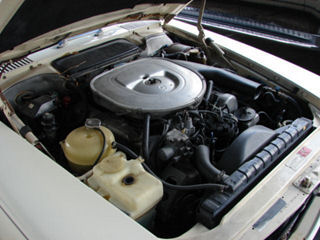 1948861_46t.jpg
