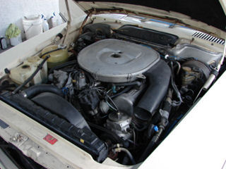1948861_47t.jpg