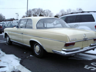 DSC05946t.jpg