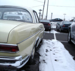 DSC05948t.jpg