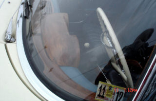 DSC05954t.jpg