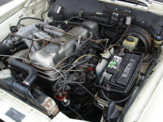 DSC05956t.jpg