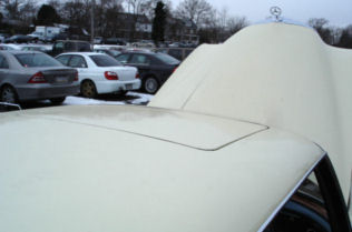 DSC05968t.jpg