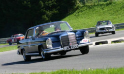 mb_220SEb_coupe_1965_Ian_Keers_curvest.jpg