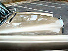 l1010876_stdt.jpg