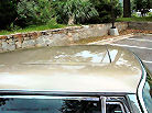 l1010887_stdt.jpg
