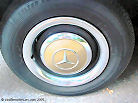 l1010904_stdt.jpg