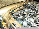 l1010979_stdt.jpg