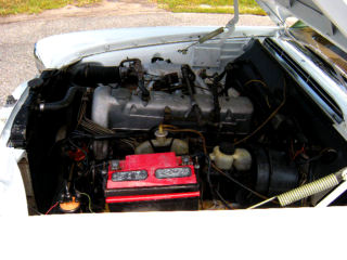 34t.jpg