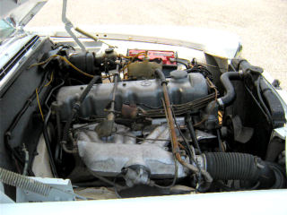 35t.jpg