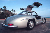 Gullwing image