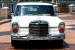 IMG_1611t.jpg