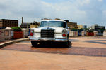IMG_1613t.jpg