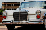 IMG_1615t.jpg