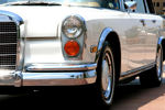 IMG_1617t.jpg