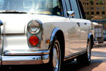 IMG_1618t.jpg