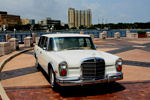 IMG_1622t.jpg