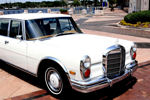 IMG_1625t.jpg