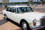 IMG_1626t.jpg