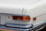 IMG_1628t.jpg