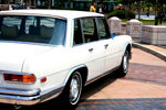 IMG_1631t.jpg