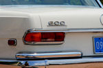 IMG_1636t.jpg