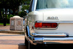 IMG_1639t.jpg