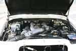 IMG_1647t.jpg