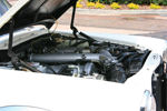 IMG_1648t.jpg