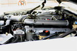 IMG_1650t.jpg