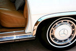 IMG_1685t.jpg