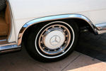 IMG_1687t.jpg