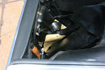 IMG_1697t.jpg