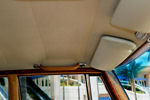 IMG_1703t.jpg