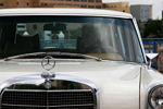 IMG_1895t.jpg