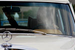 IMG_1899t.jpg
