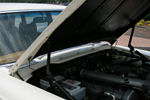 IMG_1966t.jpg