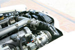 IMG_1968t.jpg