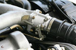 IMG_1969t.jpg
