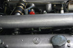 IMG_1971t.jpg