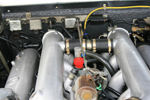 IMG_1975t.jpg