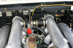 IMG_1976t.jpg