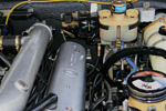 IMG_1977t.jpg