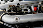 IMG_1979t.jpg