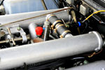 IMG_1980t.jpg
