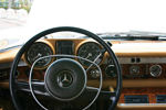 IMG_1987t.jpg