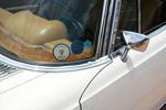 IMG_1991t.jpg