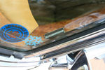 IMG_1992t.jpg