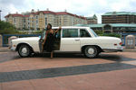IMG_2153t.jpg